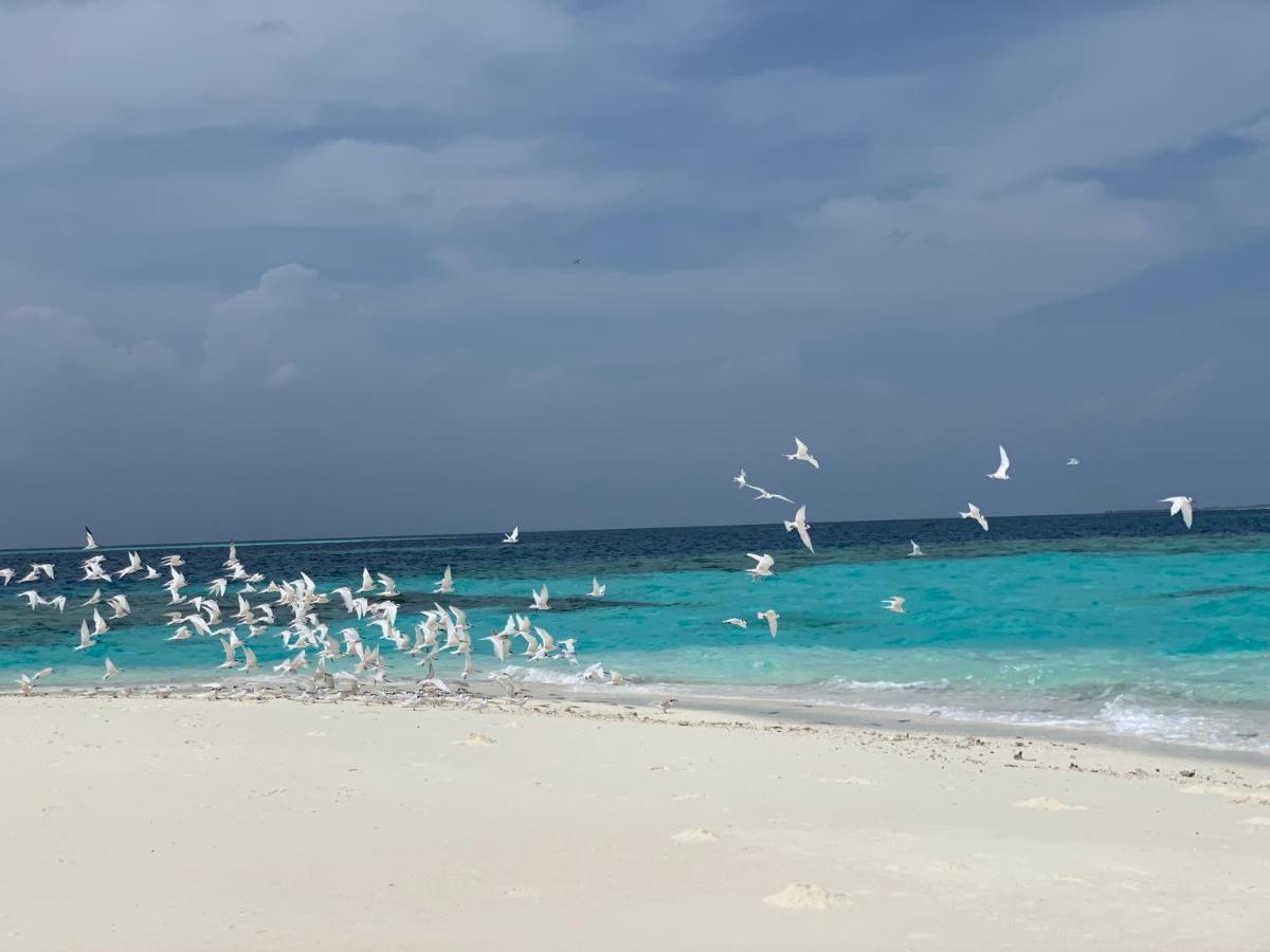 Perla Dhangethi Dış mekan fotoğraf